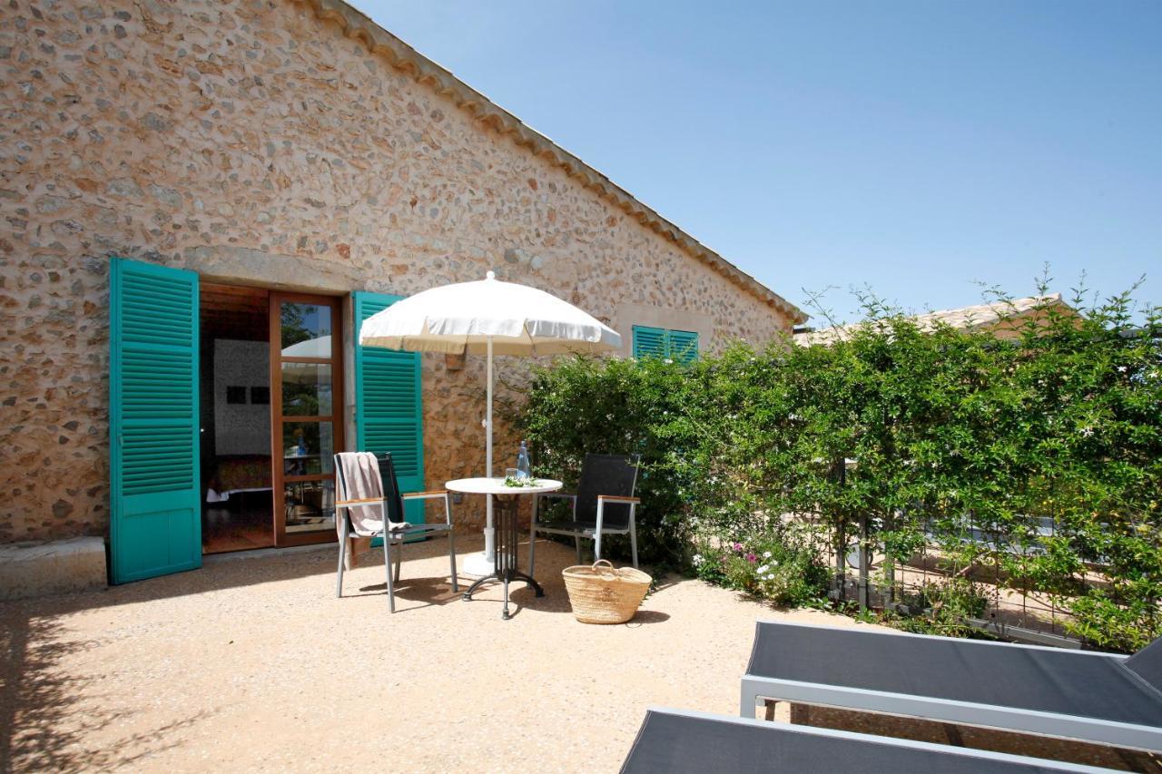 Suite Junior con terraza